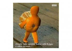 Зимняя позитивная подборка