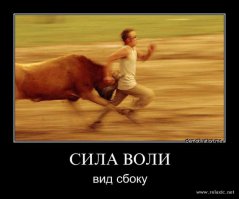 Подборка демотиваторов и просто смешных картинок