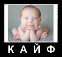 Подборка демотиваторов и просто смешных картинок