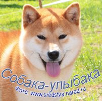 14 доводов в пользу срочной покупки пушистого любимца вашим детям