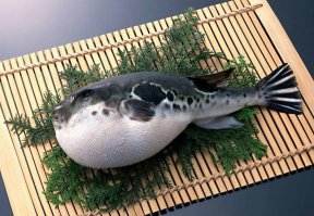 16 деликатесных блюд и напитков, запрещенных во многих странах мира