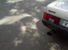 Подборка новогодних автоприколов