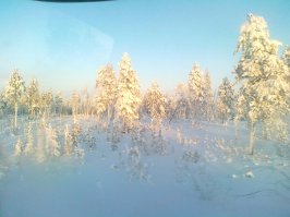 Зимняя красота со всего света