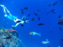 На сотовый снимал в красном море, 8мгп камера