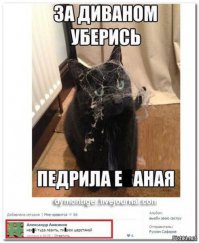 Смешные комментарии из соцсетей