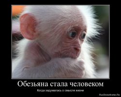 Удивительная история превращения гадкого утенка в прекрасного лебедя