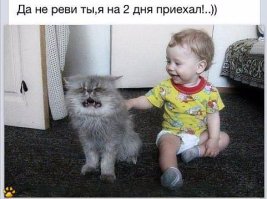  Котики - лучшие няньки. Доказано детьми!