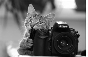 это фото снято не на пленку. я хорошо знаю фотографа который снял это фото. это снято на цифровую камеру олимпус. 

 Источник:  © Fishki.net