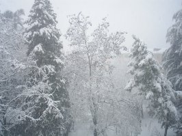 1 февраля 2012 года в Сочи