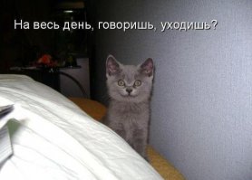 Зимняя позитивная подборка