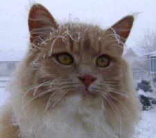 Якутск... -43 градуса!