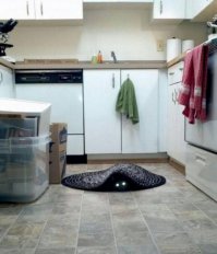 Непревзойденные мастера скрытности!