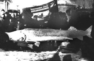 35 исторических фото, достойных вашего внимания