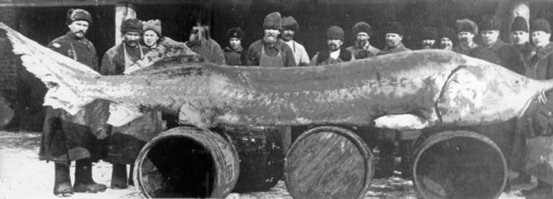 35 исторических фото, достойных вашего внимания