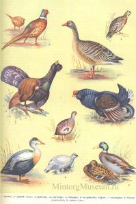 Дичь какая то...