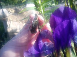 Художник из Индонезии превращает стеклотару в произведения искусства