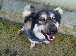 Моя морда,любимая)))