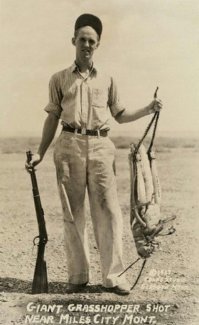 Видно этот мегаязь жрал таких супернасекомых