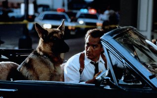 ... нас мало, но мы есть!!!!