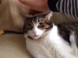 Кроме "суперспособности" не видеть в темноте как светиться тело, у меня еще есть суперспособность не летать, не читать мысли и не понимать, почему факты с эффектом больших чисел о человеческом теле называются суперспособностями.