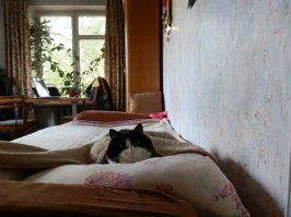 А чего же не как люди-то? Мы вот и под одеялом лежать, и на попе сидеть, и смеяться умеем. :)