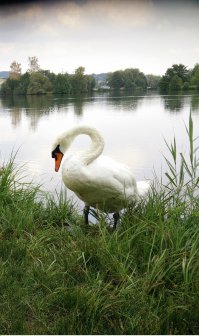 Нет краше, Родины нашей