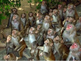 ну и как его найти?