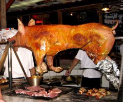 Спасенный кабан остался жить со своими спасителями