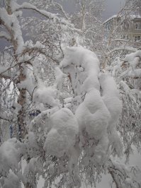 Зимой, в основном, сугробы с человеческий рост. От души покататься на лыжах, снегоходах и обязательно посетить бассейны с термальной водой (что совсем недорого). Летом сходить на рыбалку, поесть хорошей икры. Гостиницы есть почти при каждом термальном бассейне.