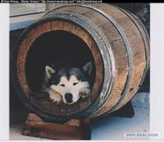 Ну-ну!! Я с интересом слушаю дальше!!!