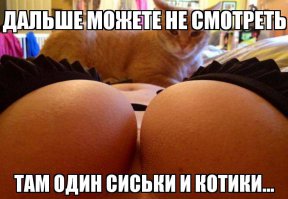 Ахаахаа интересы разные или интелект :)