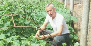 Домашний массаж