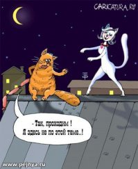 Пушистый симулянт