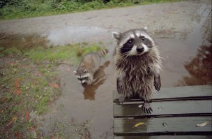 За чтоооооо((((