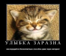 Подборка демотиваторов