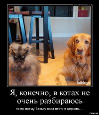 Смешные комментарии из соцсетей