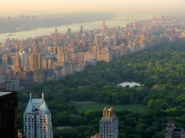 кусочек природы!