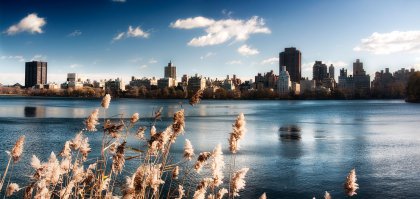 кусочек природы!