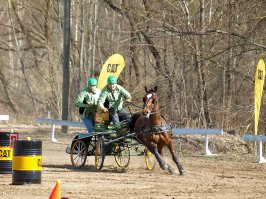 Драйвинг - езда на спортивных телегах
(на фотке не фриз)