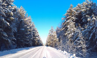 А это дорога к нам деревню.