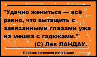 Ищу лысую или волосатую! Хиты брачных объявлений!