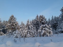 Северный Урал