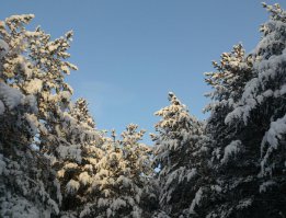 Северный Урал