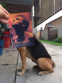 Тайна открыта!!! Вот, кто Оскар у Ди Каприо отжал!!!