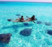 ... лодки из прозрачного монолитного поликарбоната делают сейчас методом формования, а не с помощью заклепок  ... наши даже из сотового поликарбоната делают