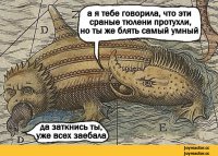 Смешные комментарии из соцсетей