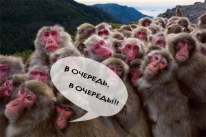 Мосаквариум –творится ужас