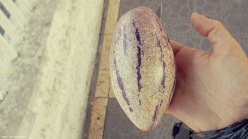 Люди, подскажите что-за фрукт (или овощ)? Покупал в Малайзии, на вкус как сладкий огурец.