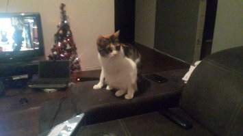 обратите внимание как седит)))