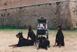 Двойное ми-ми-ми